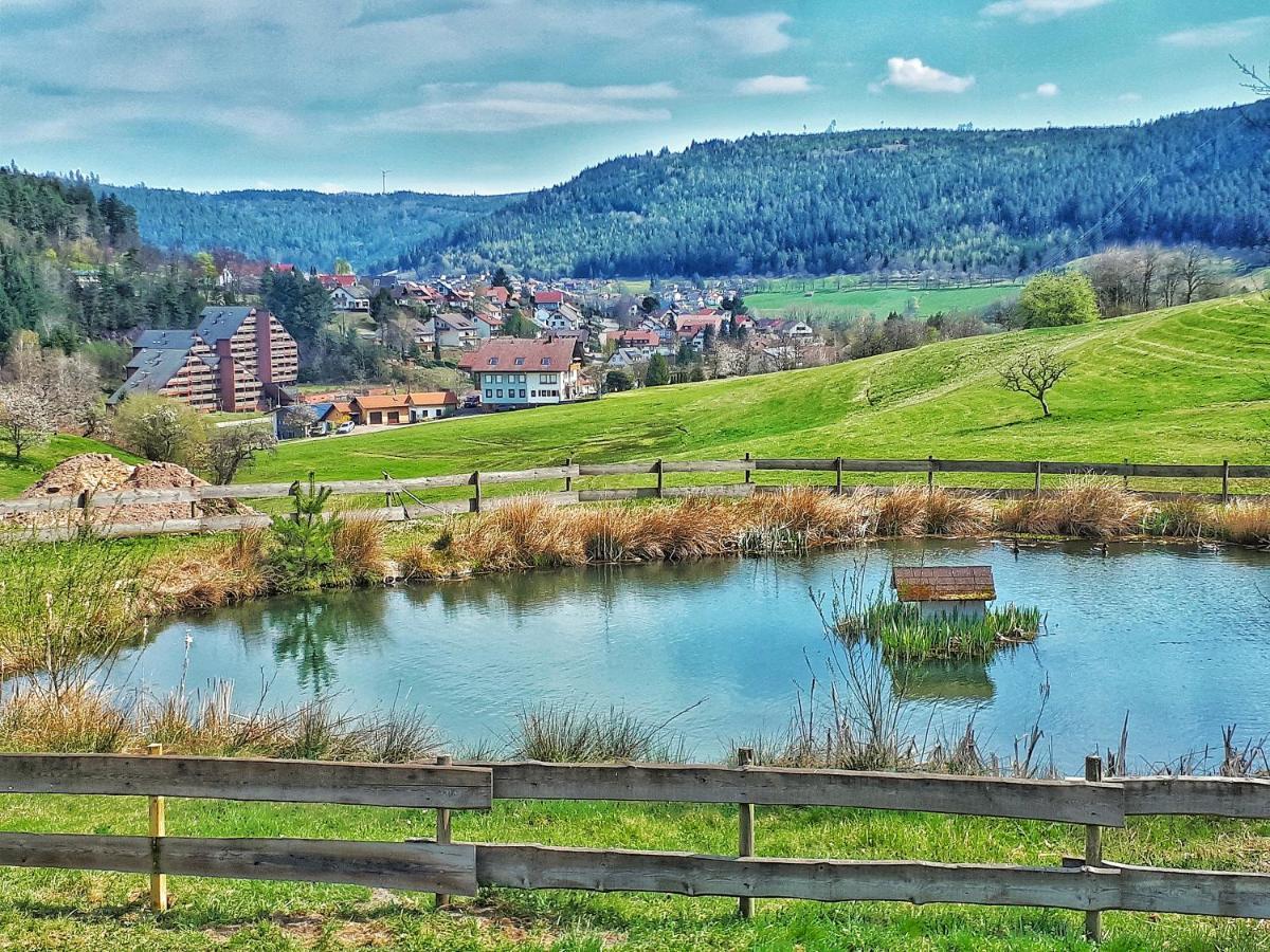 Schwarzwald Woelkchen Apartment ไบเออร์สบรอนน์ ภายนอก รูปภาพ